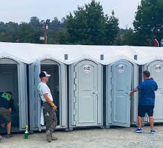 Types of Portable Toilets We Offer in South Gull Lake, MI